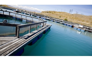 高濃度、高氨氮、難降解廢水生物處理技術(shù)經(jīng)驗總結(jié)